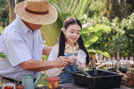 Asian retirement grandfather and pretty granddaughter helping prepare planting soil together for planting trees at home garden. Happy and enjoy family outdoor activity in holiday.の写真素材