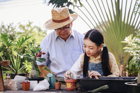 Asian retirement grandfather and pretty granddaughter helping planting together for planting trees at home garden. Happy and enjoy family outdoor activity in holiday.の写真素材