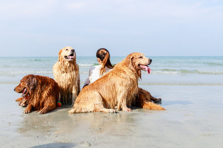Happy pets, The woman and golden retriever family rest on tropical beachの写真素材