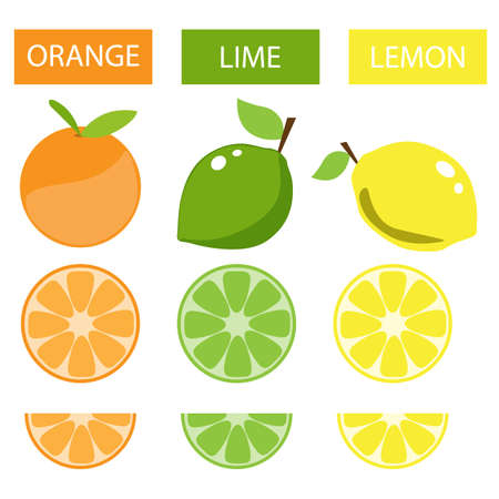 lemon lime orangeのイラスト素材