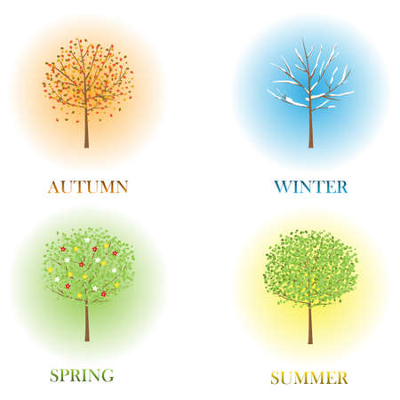 seasons treeのイラスト素材