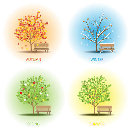 seasons treeのイラスト素材