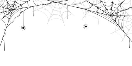 spider web background, halloween templateのイラスト素材