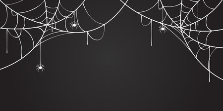 spider web background, halloween templateのイラスト素材