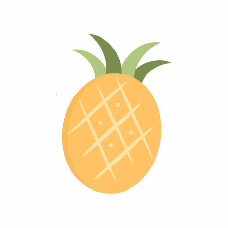 Cute Summer Vector Elements summer decoration pictures summer collection Swimming accessories, summer fruits, summer fashion.の写真素材
