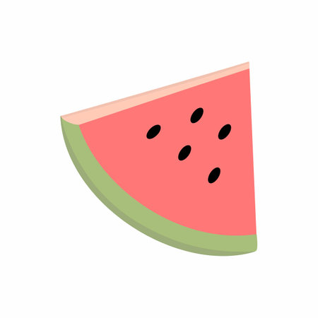 Cute Summer Vector Elements summer decoration pictures summer collection Swimming accessories, summer fruits, summer fashion.の写真素材
