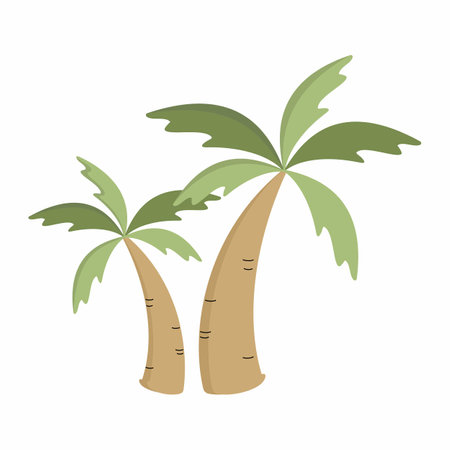 Cute Summer Vector Elements summer decoration pictures summer collection Swimming accessories, summer fruits, summer fashion.の写真素材