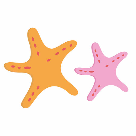 Cute Summer Vector Elements summer decoration pictures summer collection Swimming accessories, summer fruits, summer fashion.の写真素材