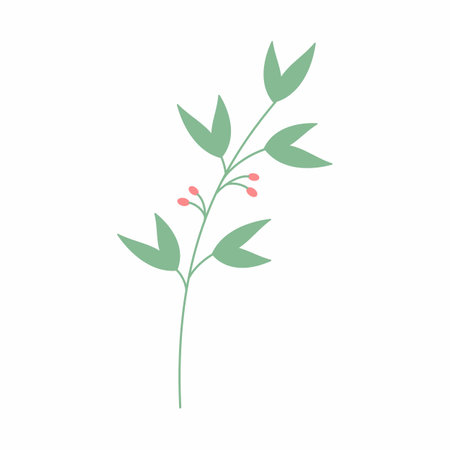 Green leaf vector illustration. Decorative frame. Decorative leaf element.の写真素材