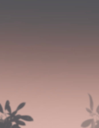 background pastel wallpaper minimal elegant backgroundの写真素材