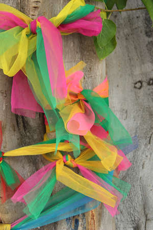 Ribbons aroud a sacred Bodhi treeの写真素材