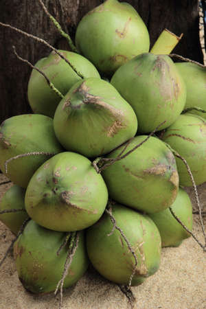 fresh coconut for sellの写真素材