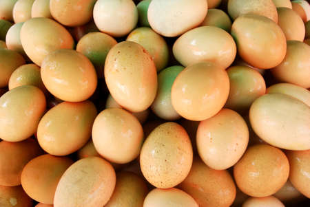 Some egg boil.の写真素材