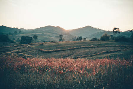 Meadow and mountain at sunset in Thailand. Vintage tone.の写真素材