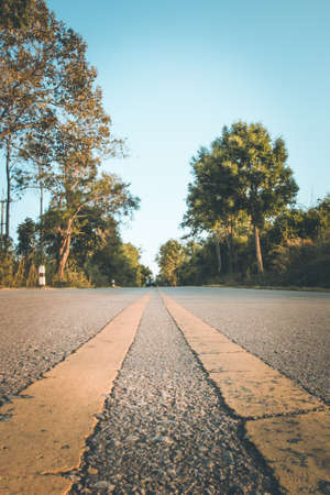 Asphalt road with trees and blue sky background, vintage tone.の写真素材