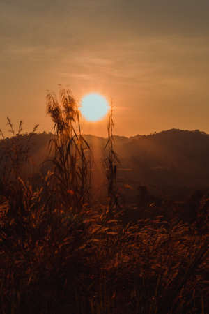 Sunset on the grassland with mountain background.の写真素材