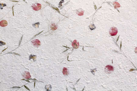 this is hand made paper from Thailand called Sa Paper use for art work texture and backgroundの写真素材