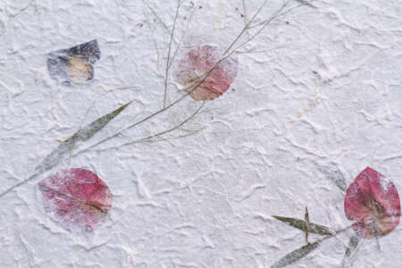 this is hand made paper from Thailand called Sa Paper use for art work texture and backgroundの写真素材