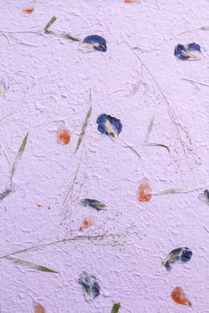 this is hand made paper from Thailand called Sa Paper use for art work texture and backgroundの写真素材
