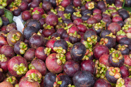 Lot of mangosteen , Thai fruitの写真素材