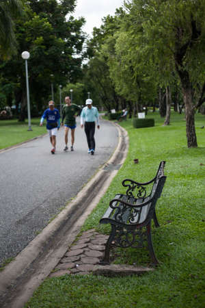Old vintage bench in the parkのeditorial素材