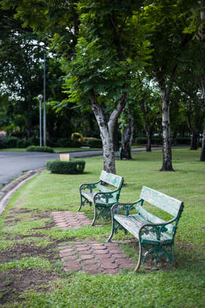 Old vintage bench in the parkの写真素材