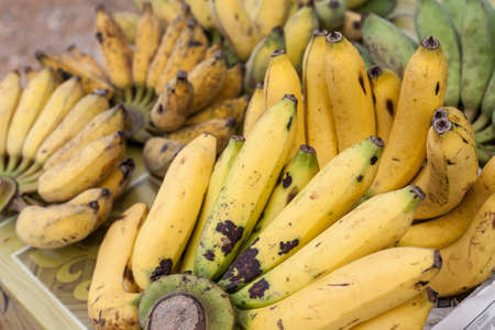 fruit market fresh banana Thailandの写真素材