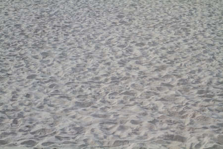 Texture of sand on the beachの写真素材