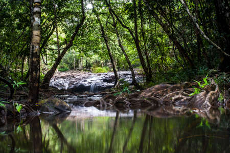 Waterfall in National Park Thailandの写真素材