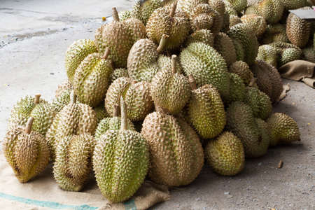Durian King of the fruit in Thailandの写真素材