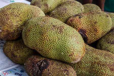 cempedak fruit Thailand  の写真素材