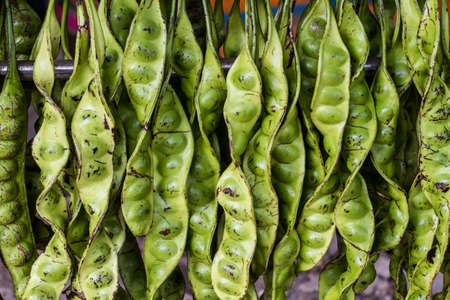  Petai - Pungent Green Bean from Malaysia の写真素材