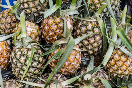 lot of pineapple in market fruit  Thailandの写真素材