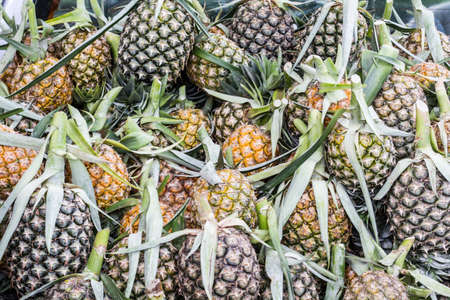 lot of pineapple in market fruit  Thailandの写真素材