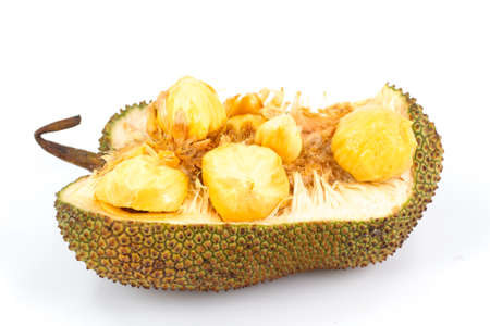 cempedak fruit Thailand in white backgroundの写真素材