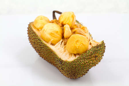 cempedak fruit Thailand in white backgroundの写真素材
