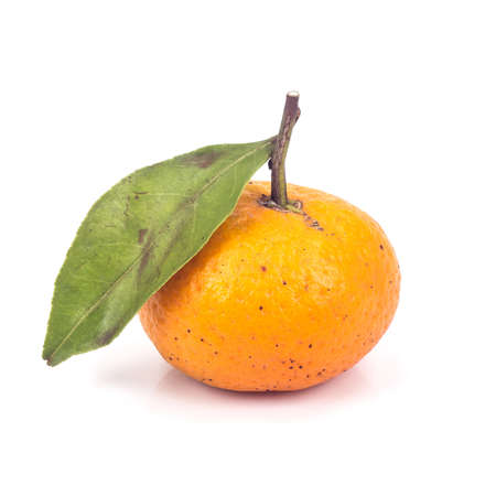 ripe orange with leaves on white backgroundの写真素材