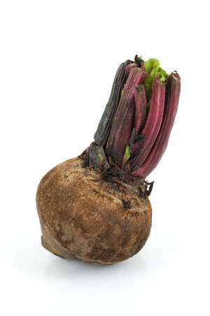 beetroot isolated on white backgroundの写真素材
