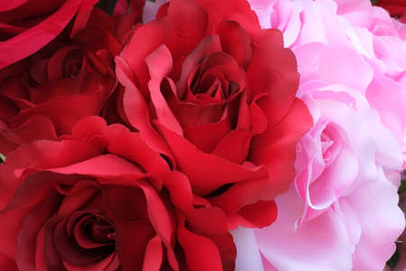 red and pink rose made by fabricの写真素材