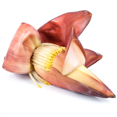Banana flower eaten as delicious vegetableの写真素材