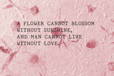 Love quotes by Max Muller  on hand made paperの写真素材