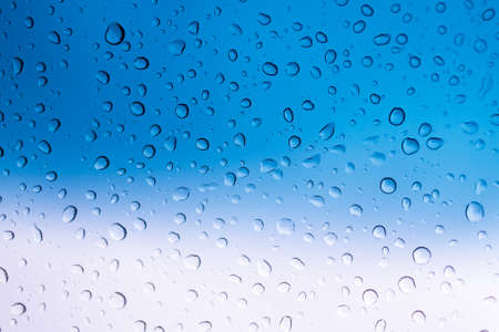 Rain Water drops backgroundの写真素材