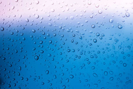 Rain Water drops backgroundの写真素材