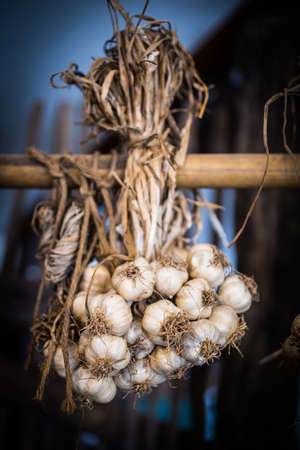 thai ingredients are garlic hang on wooden plate.