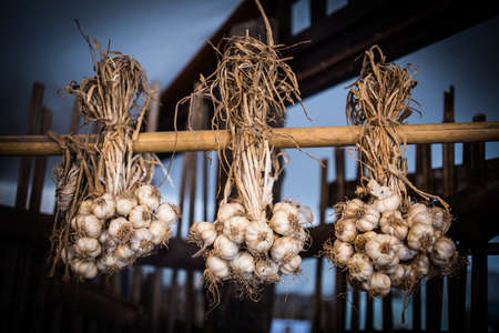 thai ingredients are garlic hang on wooden plate.の写真素材