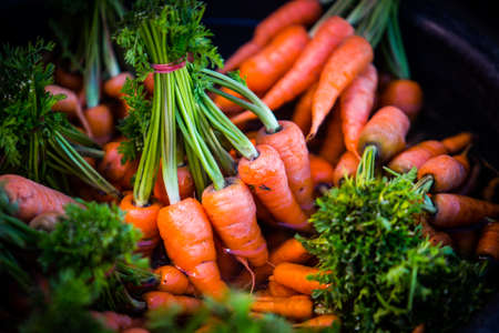 Bunch of fresh carrots with green leavesの写真素材