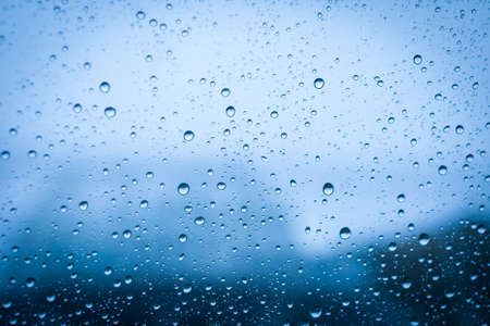 Rain Water drops の写真素材