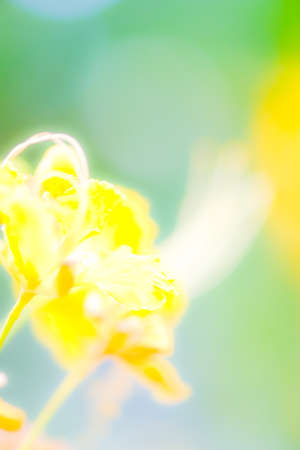 abstract  backgroundの写真素材