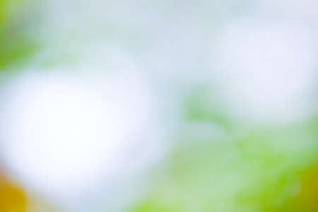 abstract  backgroundの写真素材