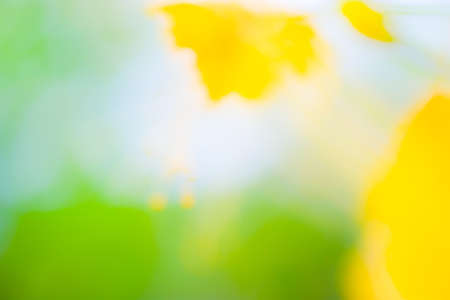 abstract  backgroundの写真素材